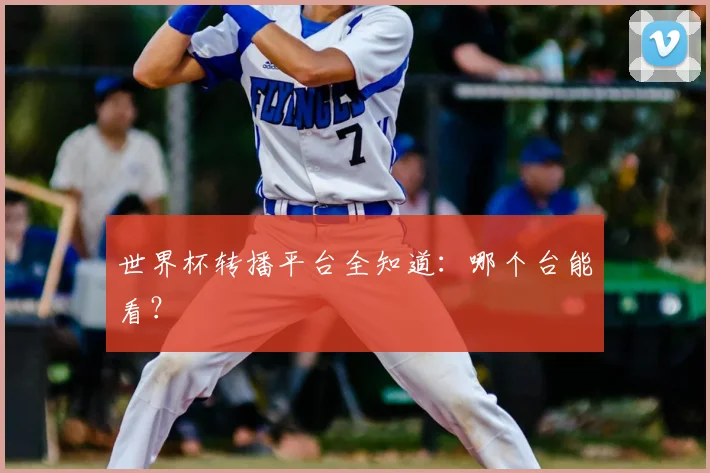 世界杯转播平台全知道：哪个台能看？