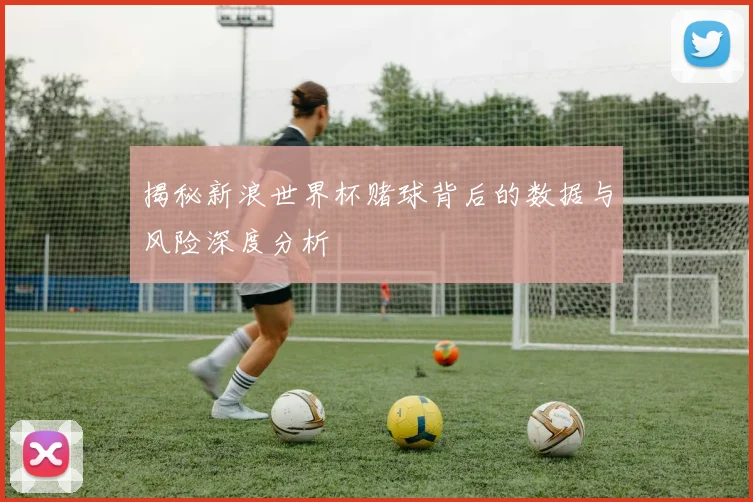 揭秘新浪世界杯赌球背后的数据与风险深度分析