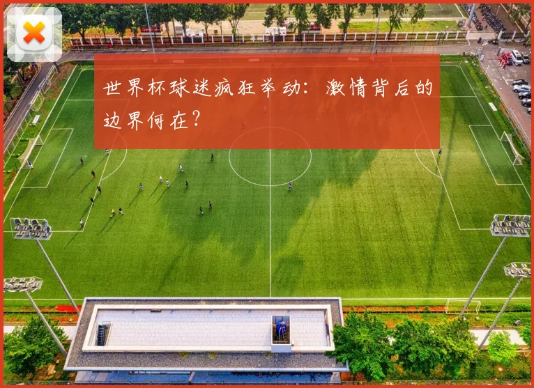 世界杯球迷疯狂举动:激情背后的边界何在?