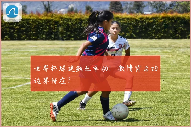 世界杯球迷疯狂举动:激情背后的边界何在?