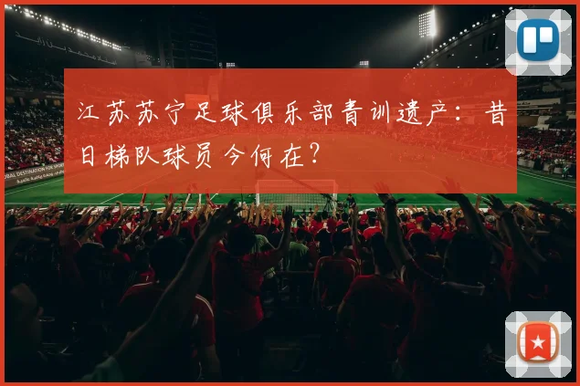 江苏苏宁足球俱乐部青训遗产：昔日梯队球员今何在？