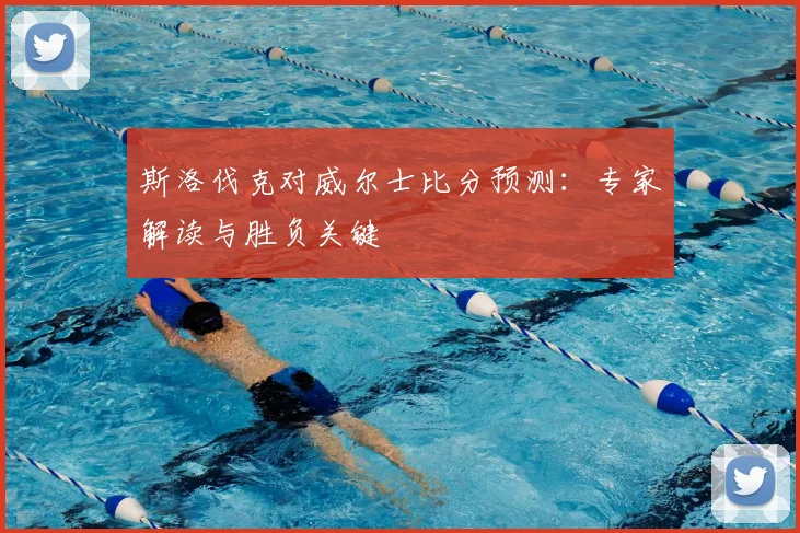 斯洛伐克对威尔士比分预测：专家解读与胜负关键