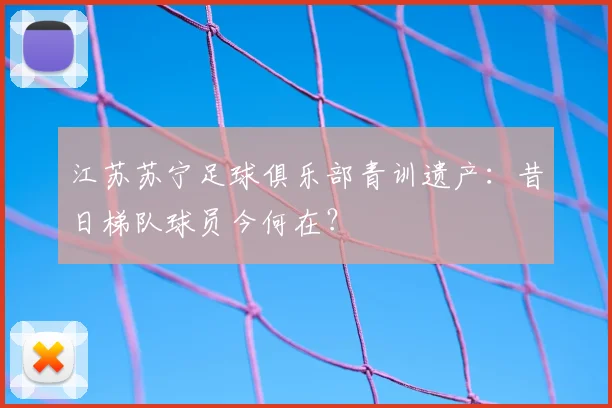 江苏苏宁足球俱乐部青训遗产：昔日梯队球员今何在？